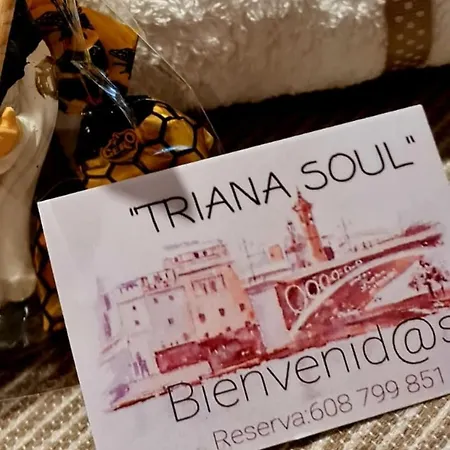 Apartamento TRIANA SOUL MARCUR precioso piso 1 PARKING GRATIS Sevilla Exterior foto